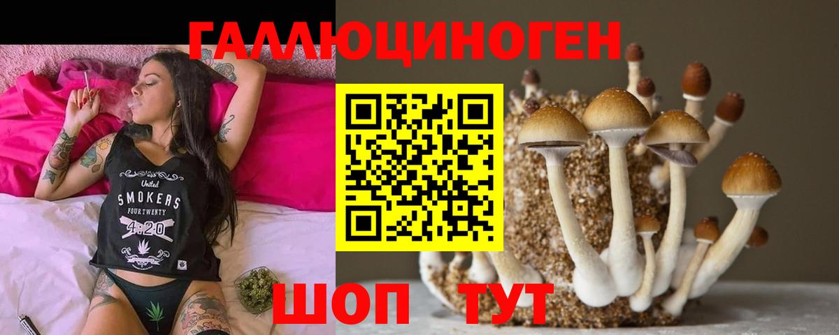 Гусиноозёрск  Псилоцибиновые грибы мицелий  Вход с VPN 